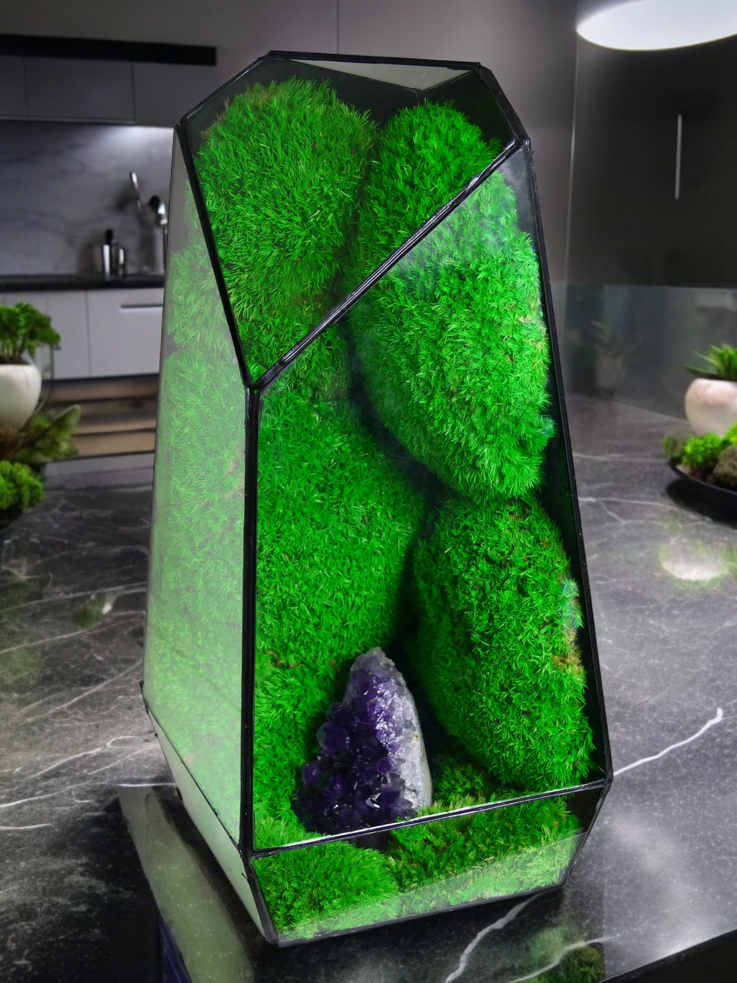 Terrarium A4 🌱 terrario di vetro terrario piante terrario
