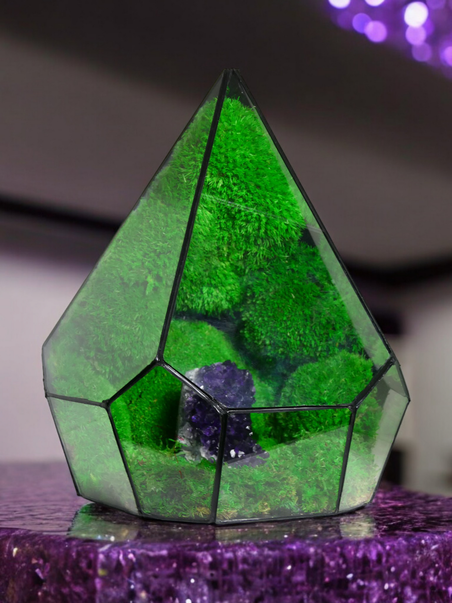Terrarium A16 🌱 terrario di vetro terrario piante terrario