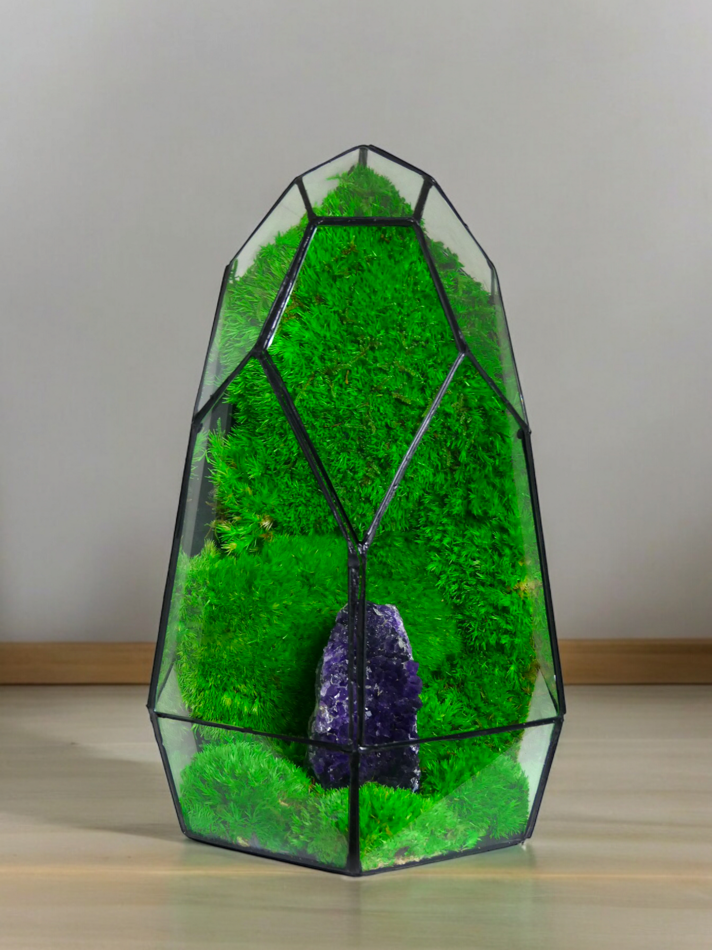 Terrarium A9 🌱 terrario di vetro terrario piante terrario