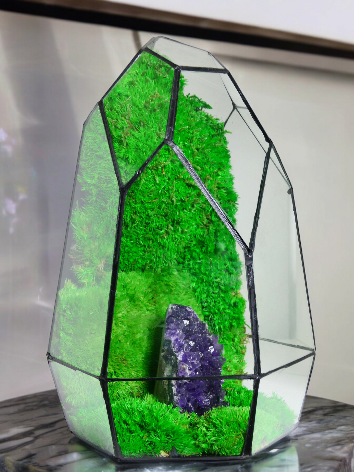 Terrarium A9 🌱 terrario di vetro terrario piante terrario