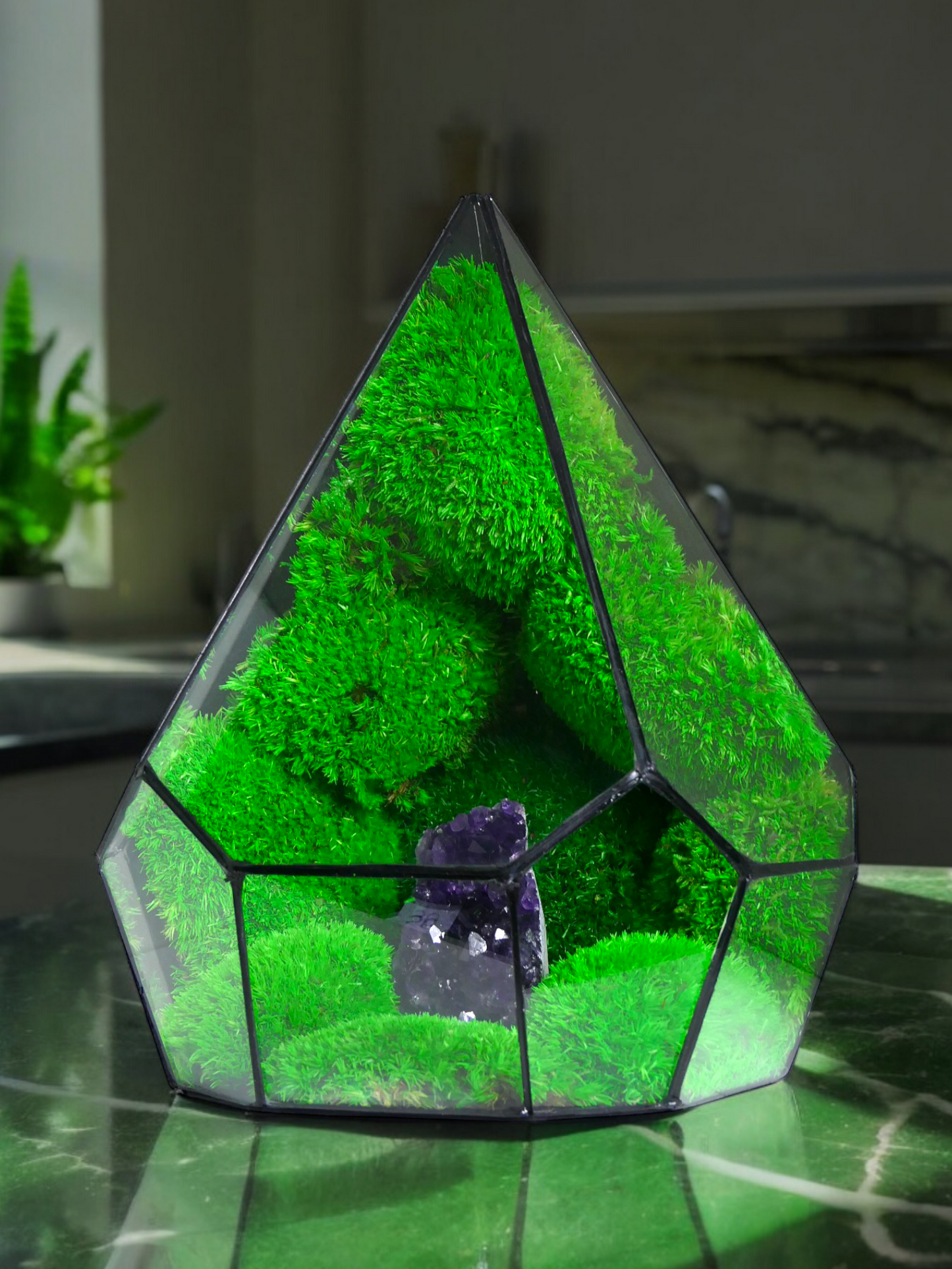 Terrarium A12 🌱 terrario di vetro terrario piante terrario
