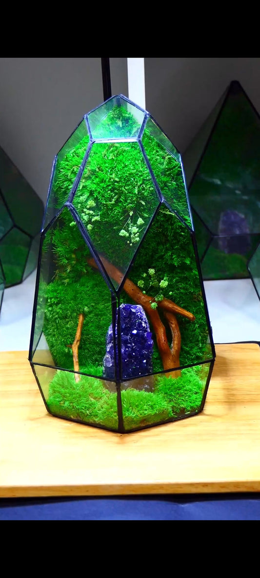 Terrarium A10 🌱 terrario di vetro terrario piante  terrario