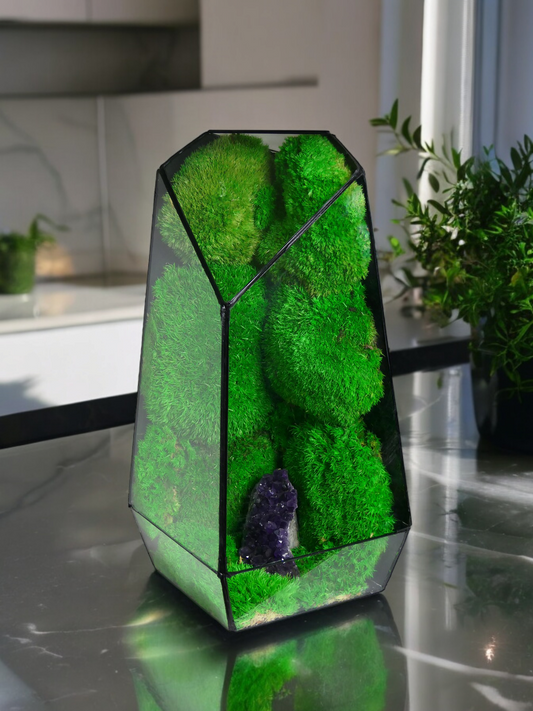 Terrarium A5 🌱  terrario di vetro terrario piante  terrario